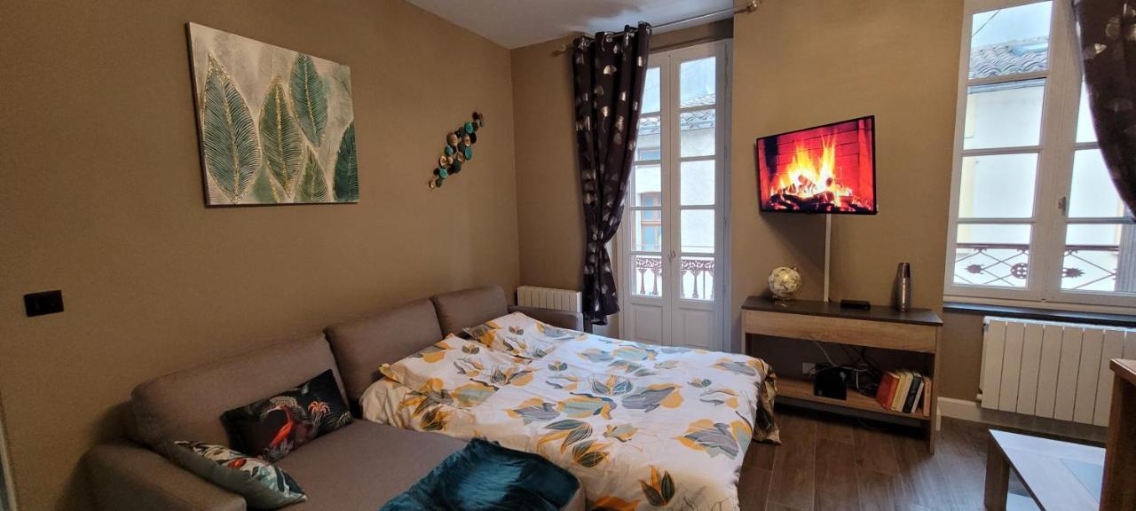 Appartement Le Moulin Vert Каркасон Екстериор снимка