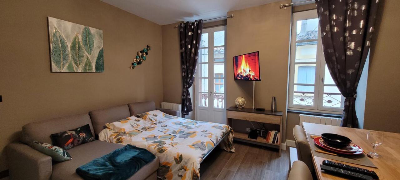 Appartement Le Moulin Vert Каркасон Екстериор снимка